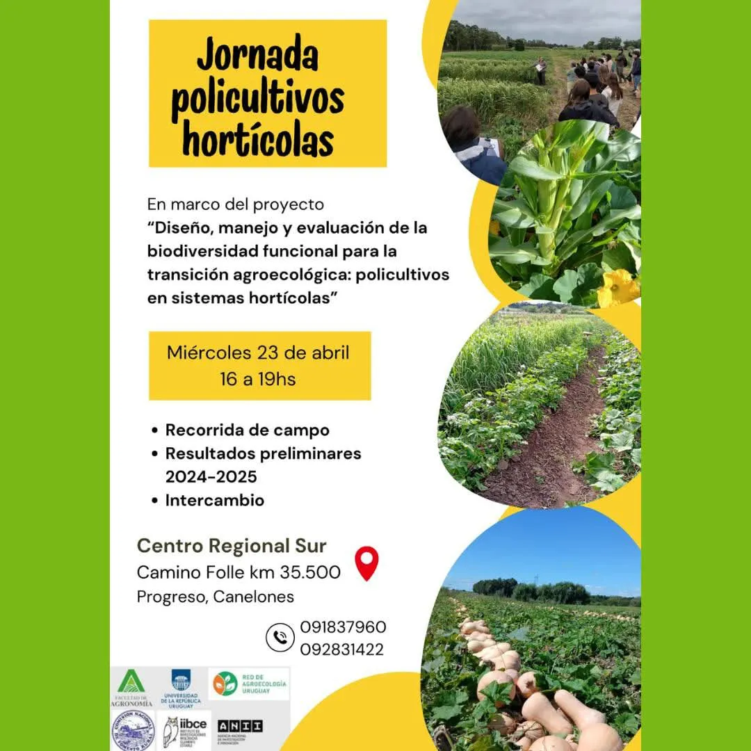 FB_IMG_1745322911951