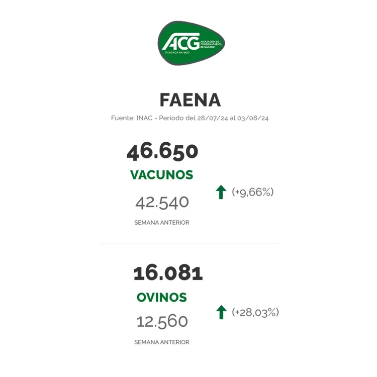 InShot_20240806_151333694