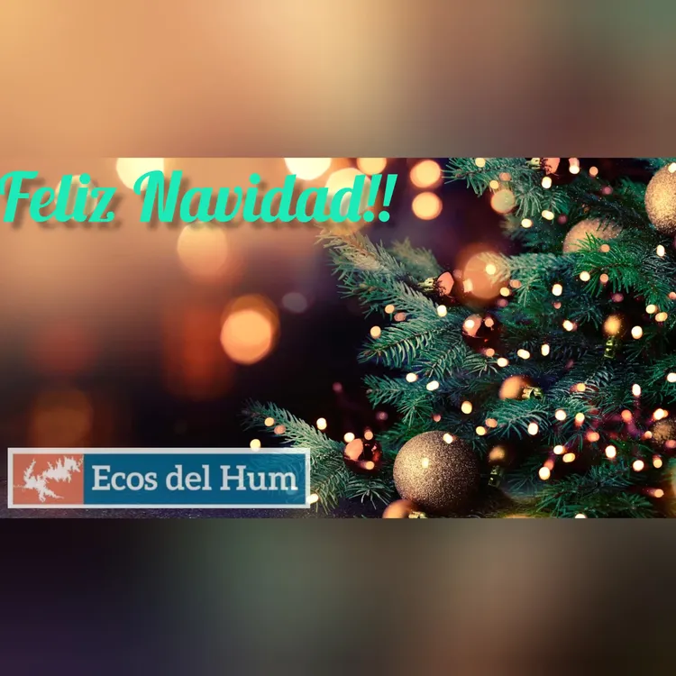 InShot_20231224_130835503