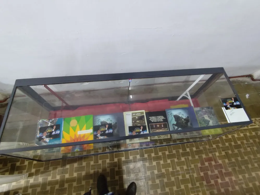 WhatsApp Image 2024-08-26 at 10.35.56