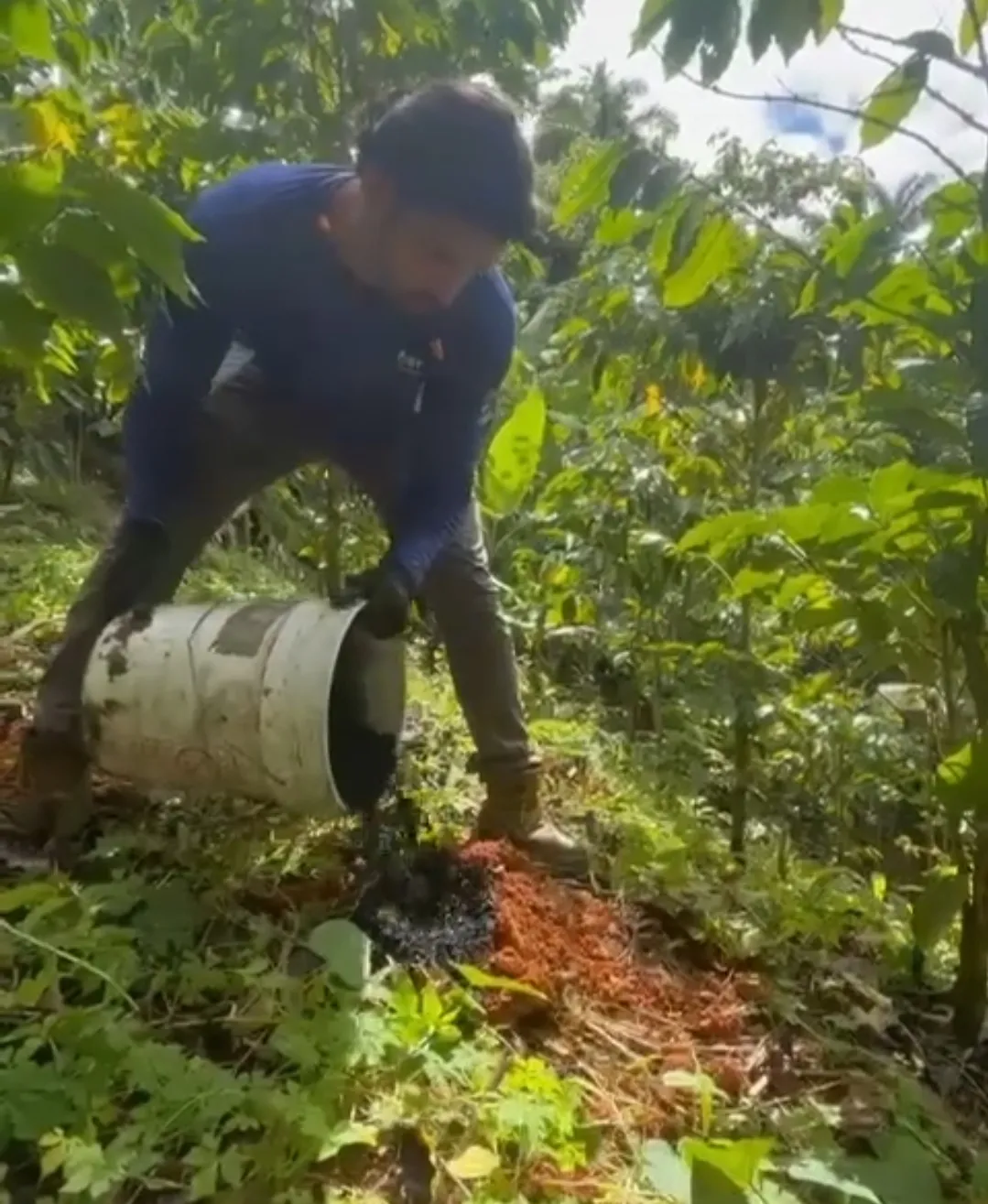 Screenshot_20250214_060138_Facebook