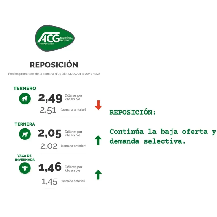 WhatsApp Image 2024-07-23 at 11.08.52 (2)