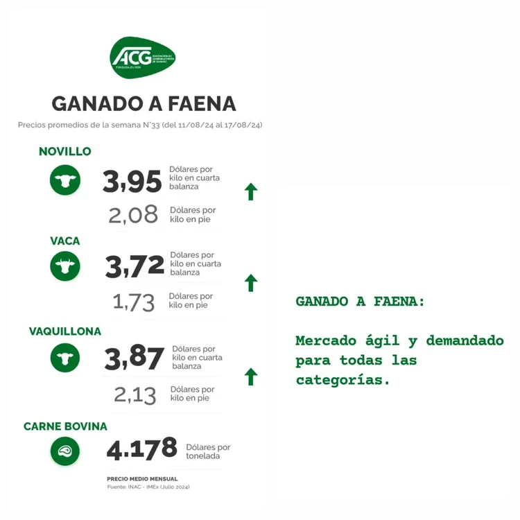 WhatsApp Image 2024-08-20 at 09.23.20