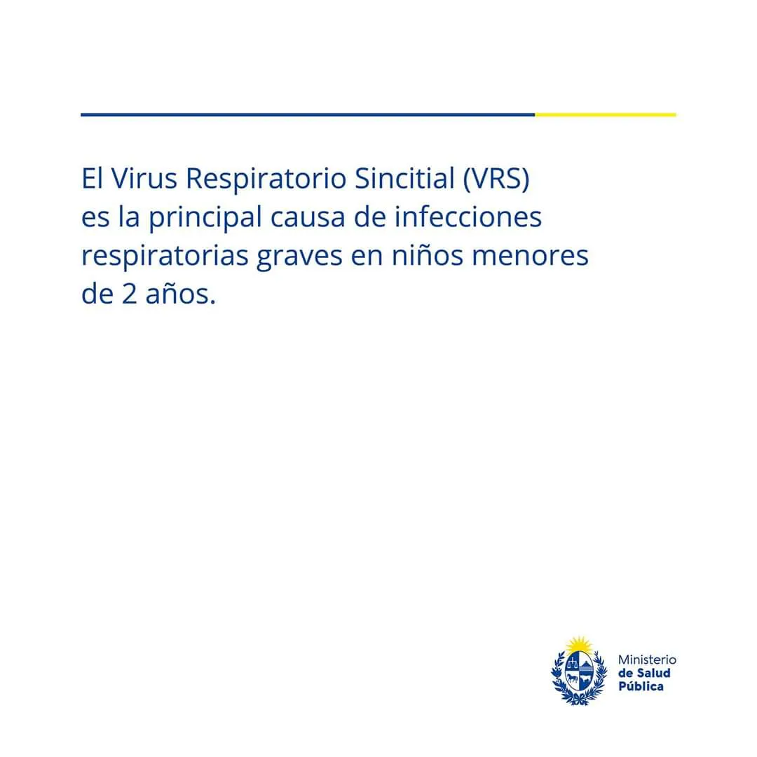 FB_IMG_1725454755565