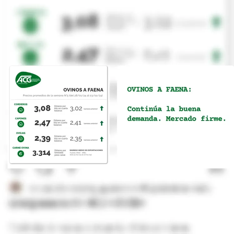 WhatsApp Image 2024-02-06 at 14.23.33