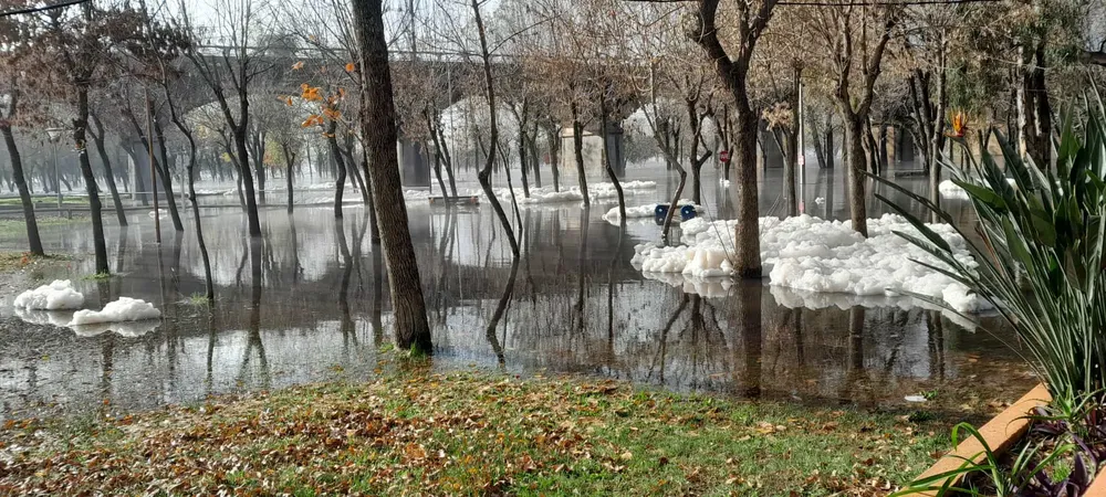 WhatsApp Image 2024-05-20 at 10.53.17 (2)