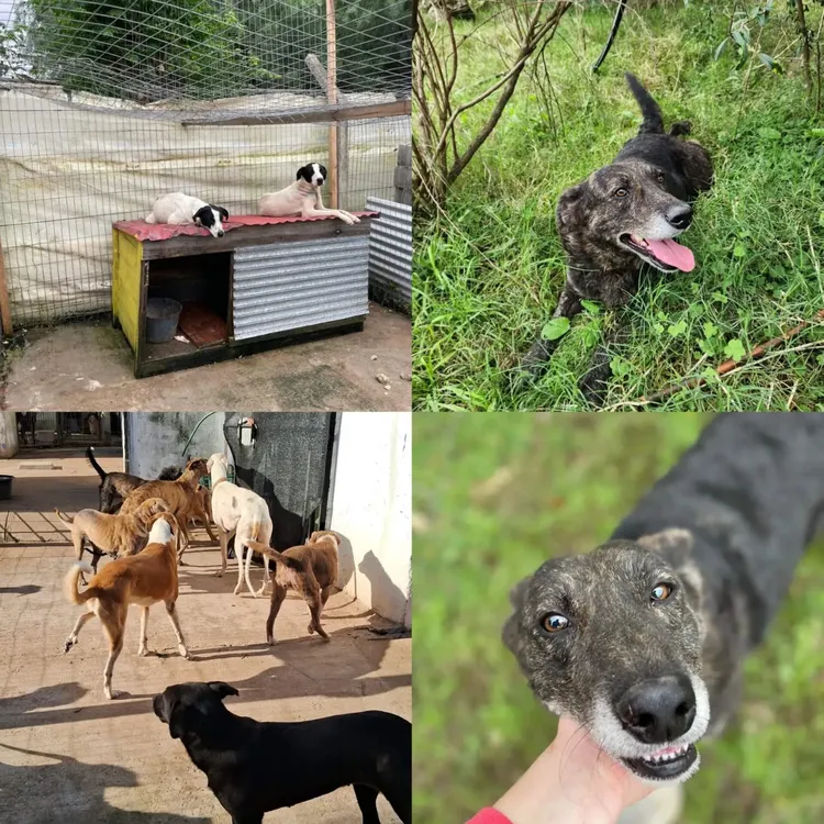 WhatsApp Image 2024-05-15 at 15.57.50