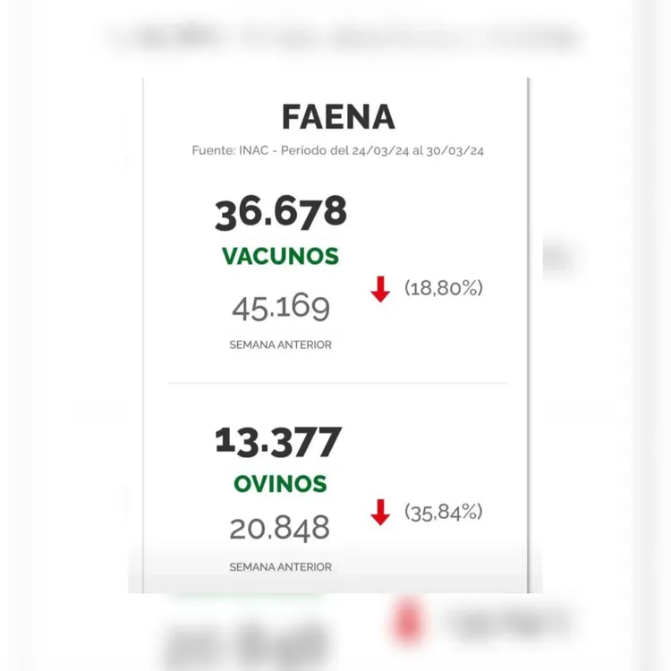 WhatsApp Image 2024-04-02 at 14.21.02 (2)