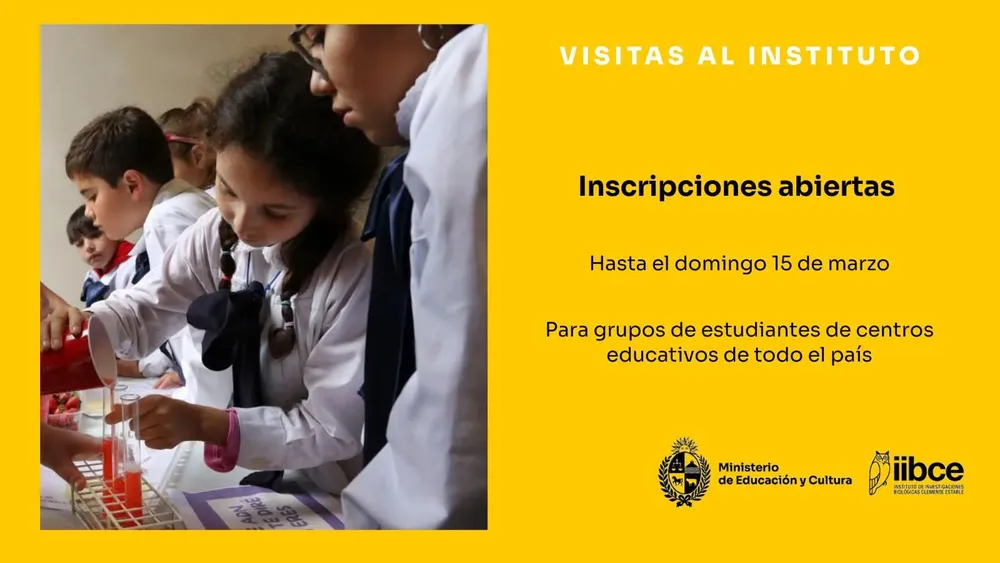 FB_IMG_1771881210289