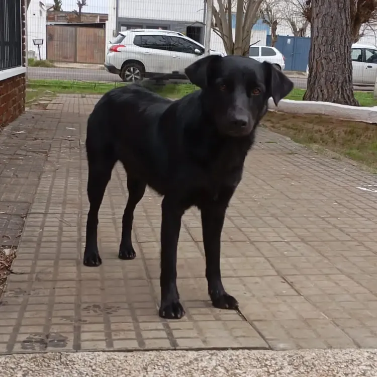 455125614_529021212810309_1122605309838498578_n