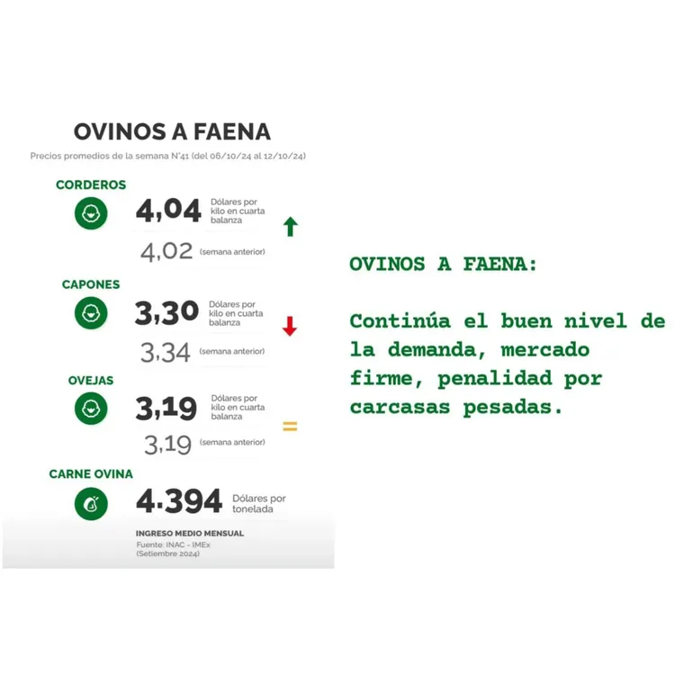 InShot_20241014_221731609