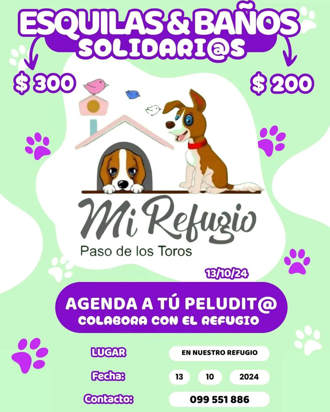 FB_IMG_1727714086031