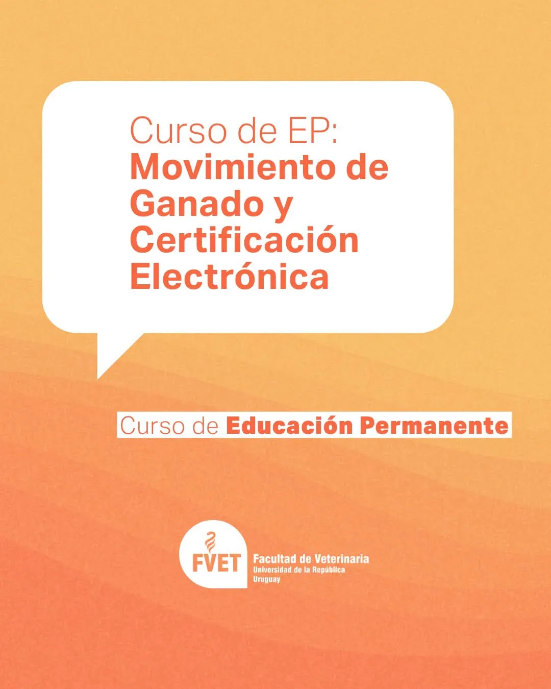 FB_IMG_1770232435005