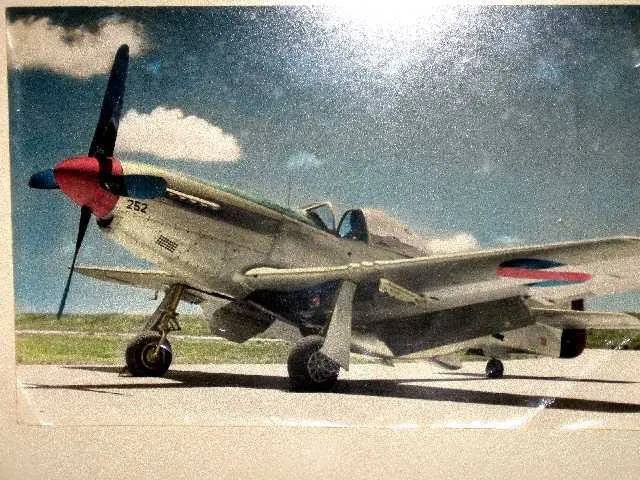 FAU252