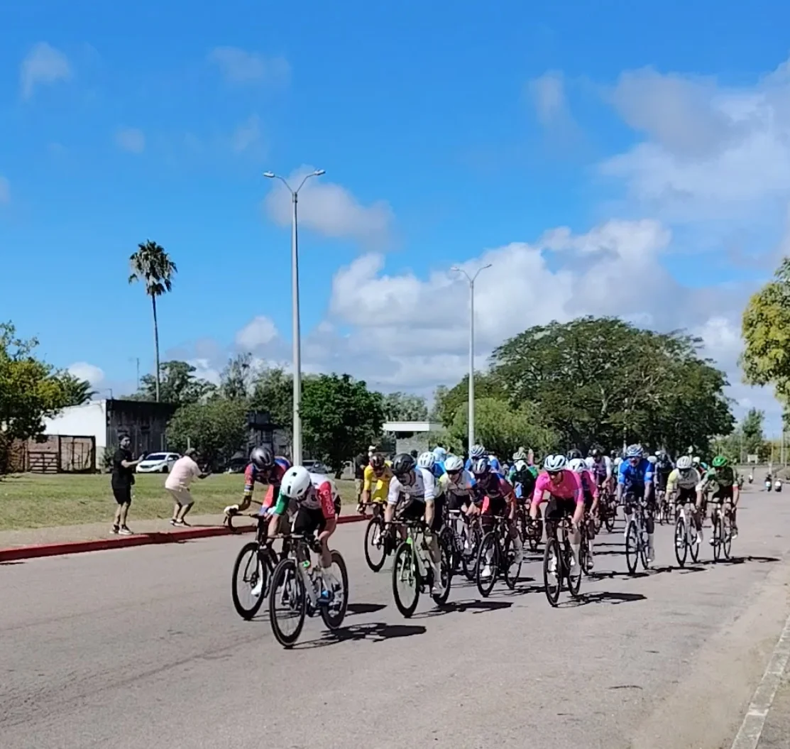 Screenshot_20260327_142918_com_hihonor_photos_SlotAlbumActivity