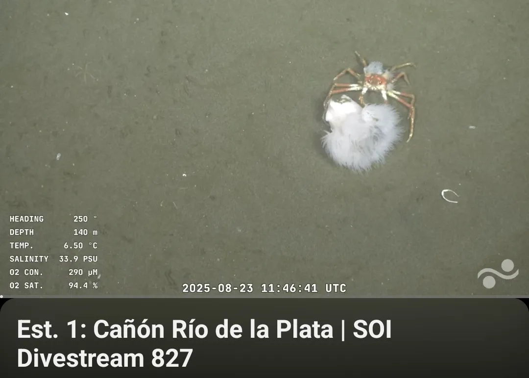 Screenshot_20250827_052957_YouTube