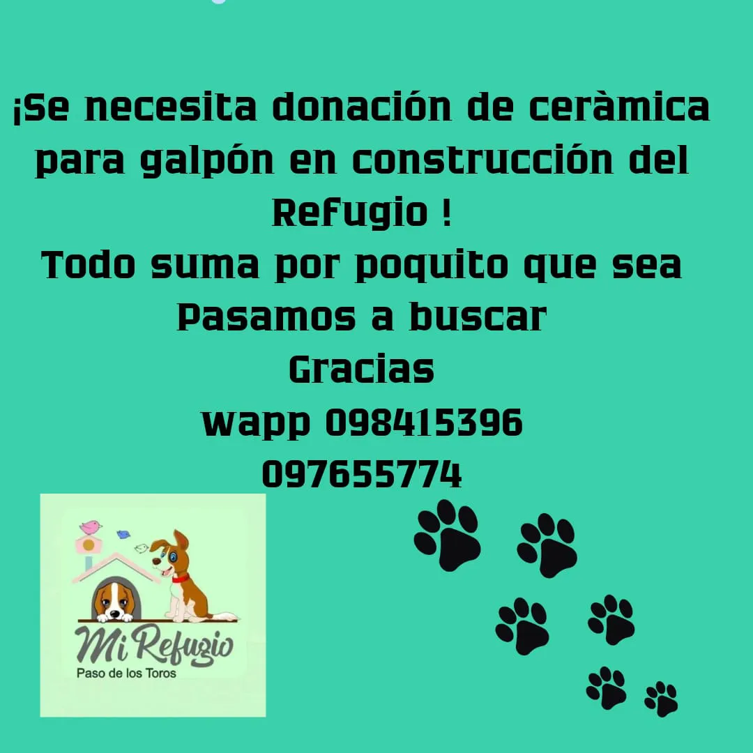 WhatsApp Image 2024-07-15 at 11.09.08