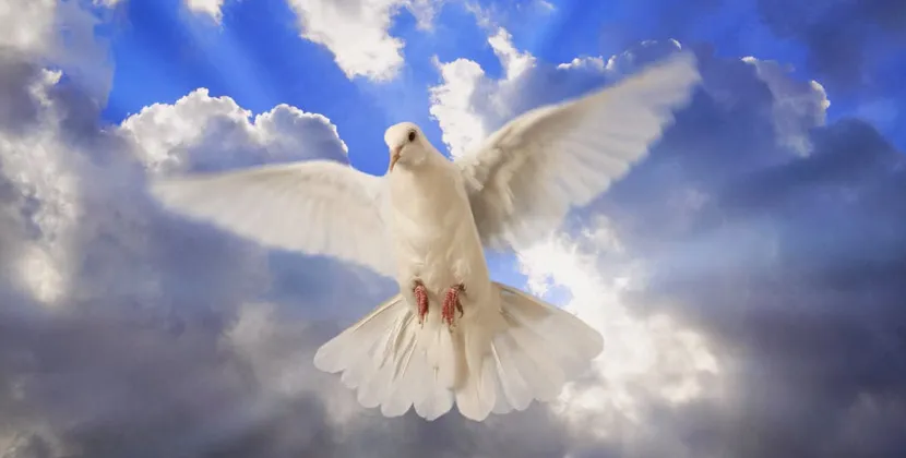 simbolos_Espiritu_Santo