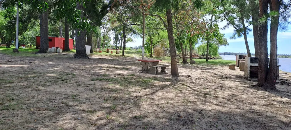 WhatsApp Image 2024-01-09 at 11.07.56