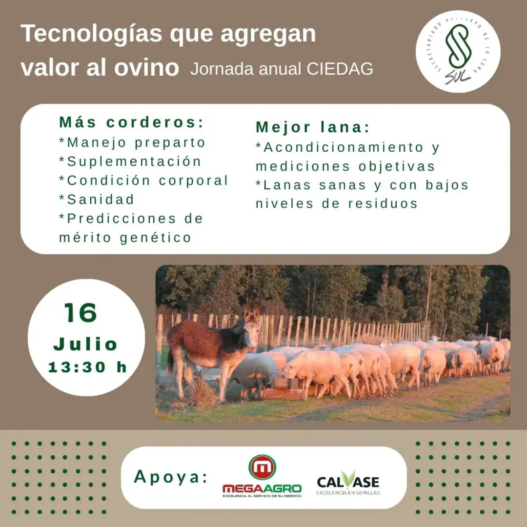 FB_IMG_1747881559102