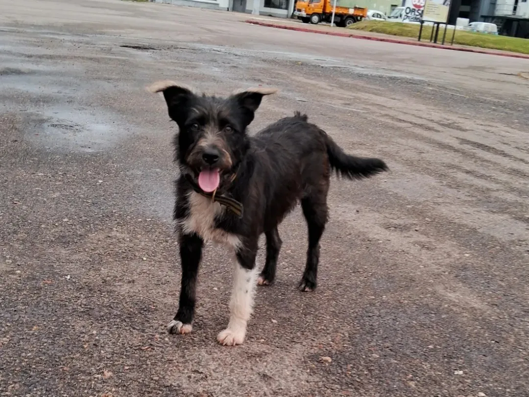 448154818_491793303199767_5512242501237891166_n