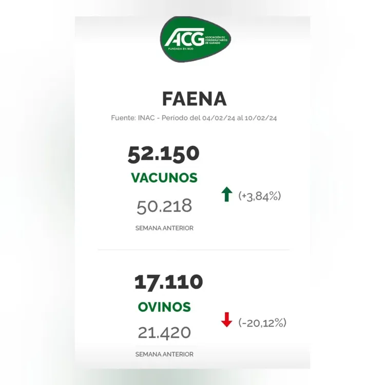 WhatsApp Image 2024-02-13 at 14.06.45