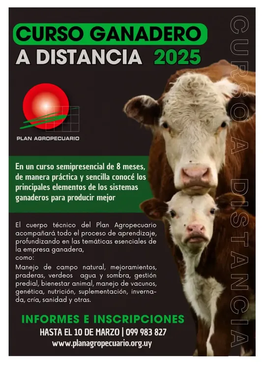 FB_IMG_1736781852916