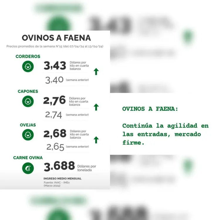 InShot_20240415_220028374