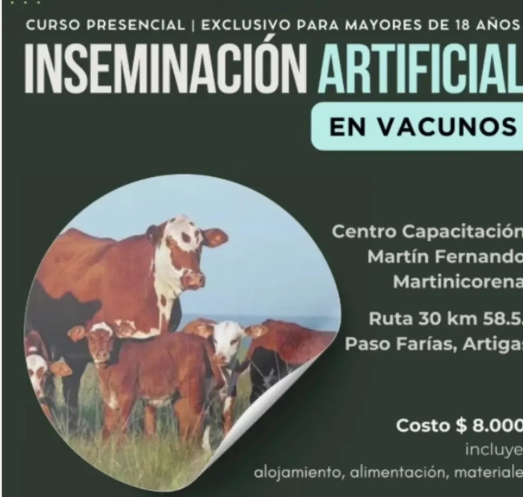 Screenshot_20250506_183929_Photos