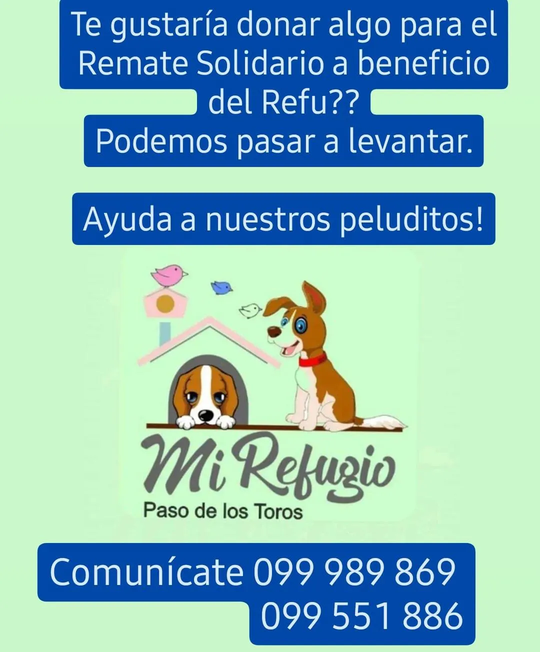 WhatsApp Image 2024-05-13 at 13.09.19