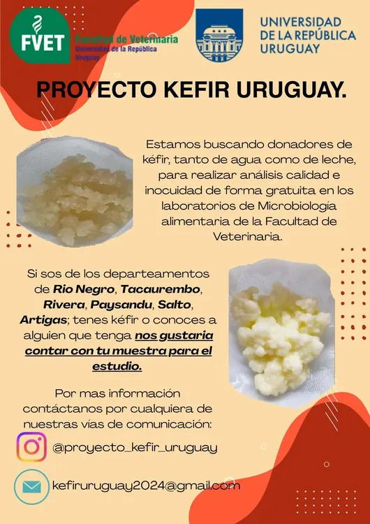 FB_IMG_1765409098946