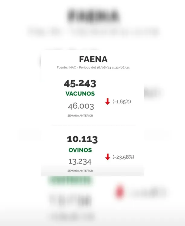 WhatsApp Image 2024-06-25 at 11.04.11 (1)