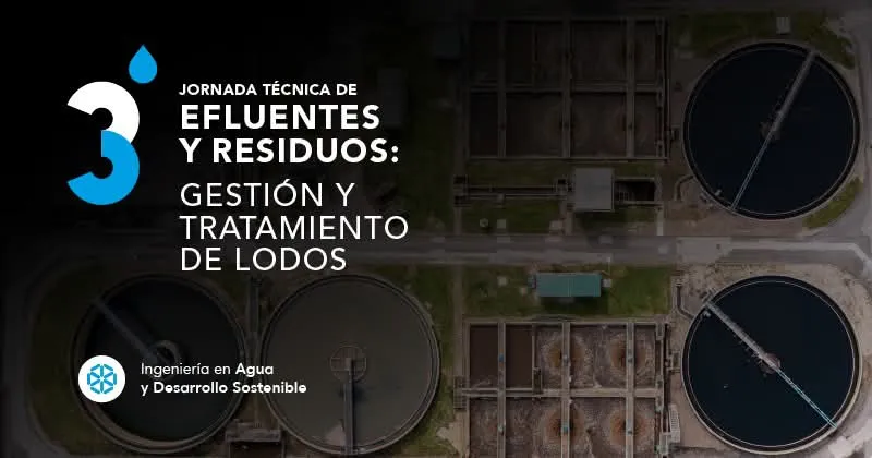 FB_IMG_1746632997273