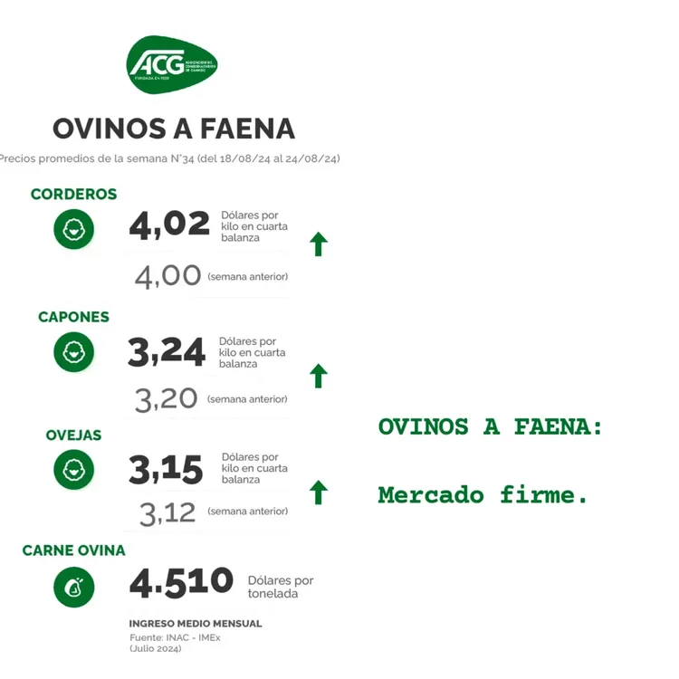 InShot_20240827_094759821