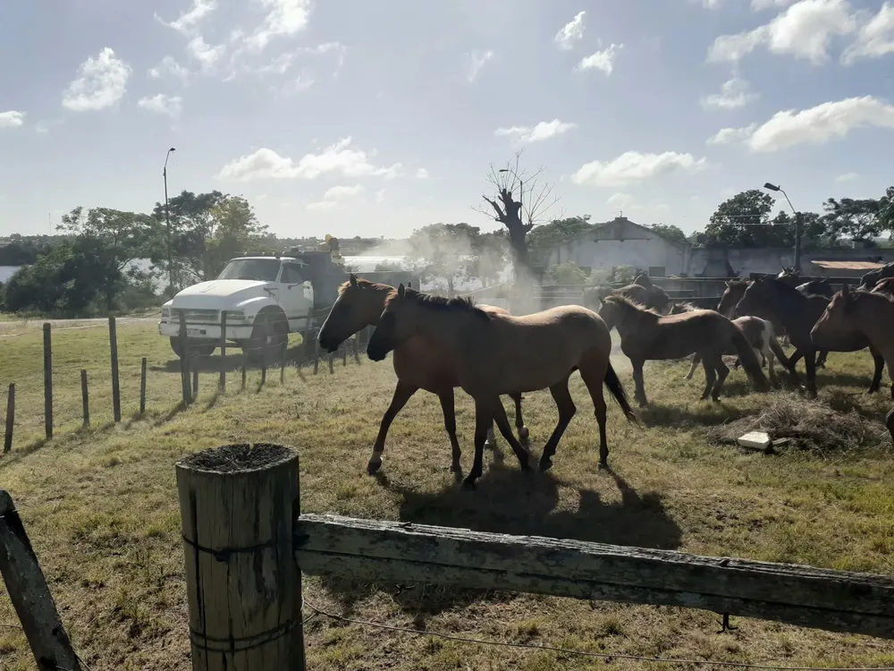 422306911_348898611241065_1668759564950831909_n