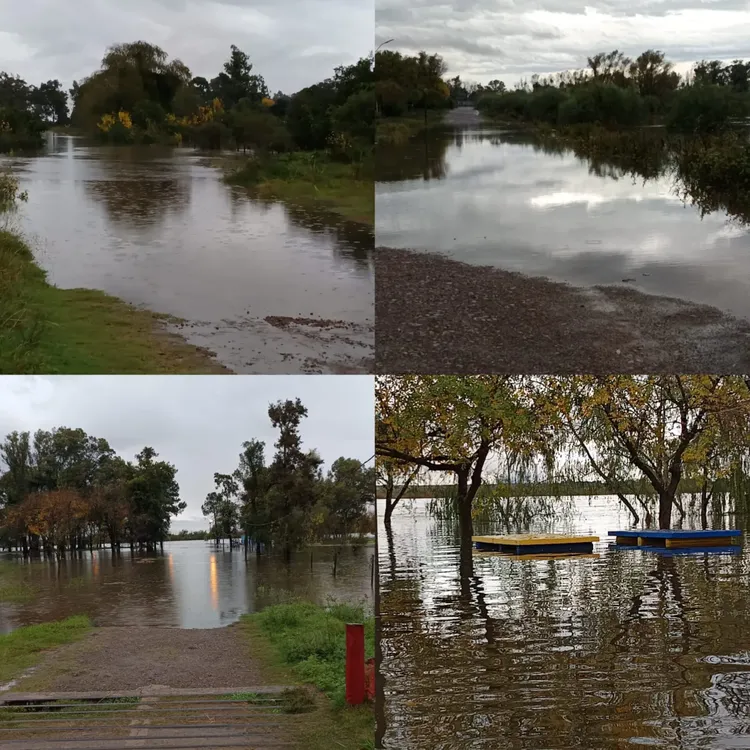 WhatsApp Image 2024-05-06 at 16.40.03 (1)