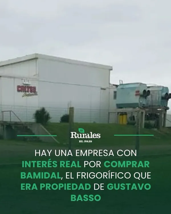 FB_IMG_1784857207740