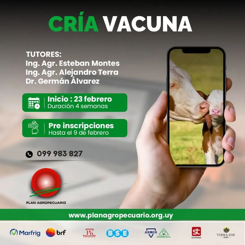 FB_IMG_1770214918814