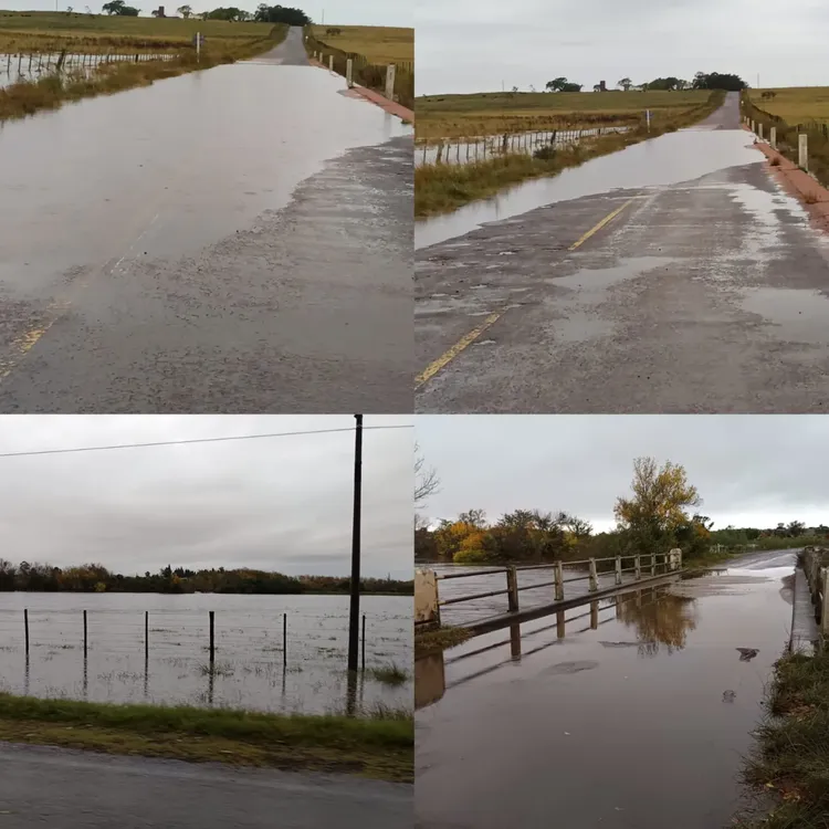 WhatsApp Image 2024-05-06 at 16.40.03