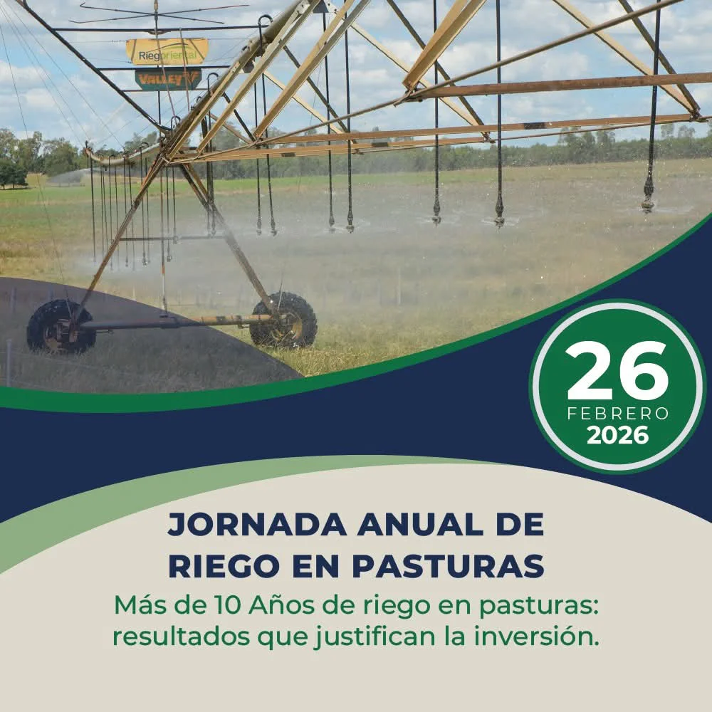 FB_IMG_1770922548954