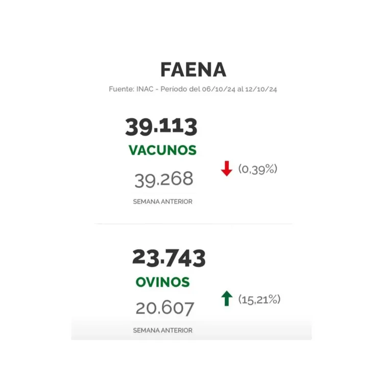 InShot_20241014_221627516