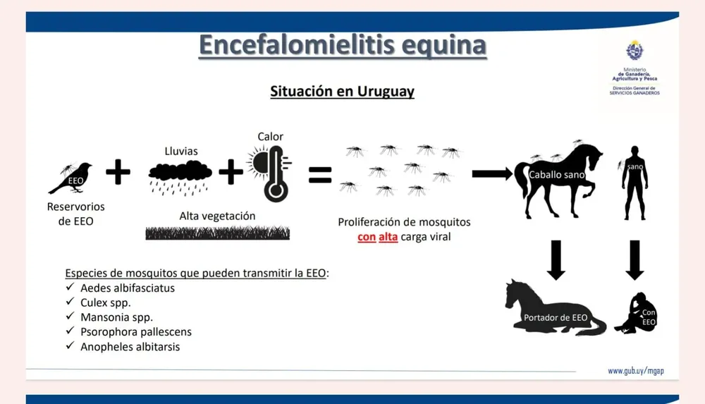 WhatsApp Image 2024-02-06 at 15.40.45