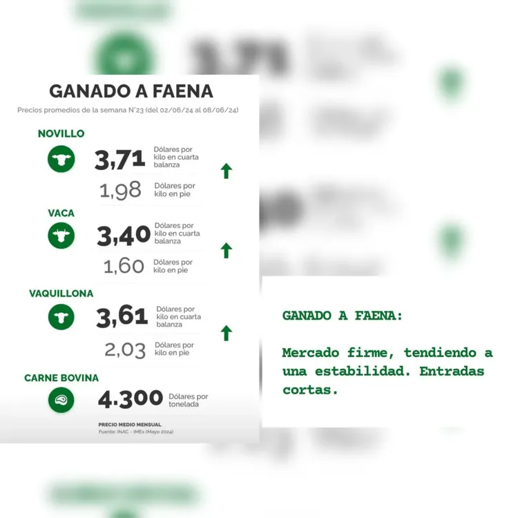 InShot_20240610_223050824