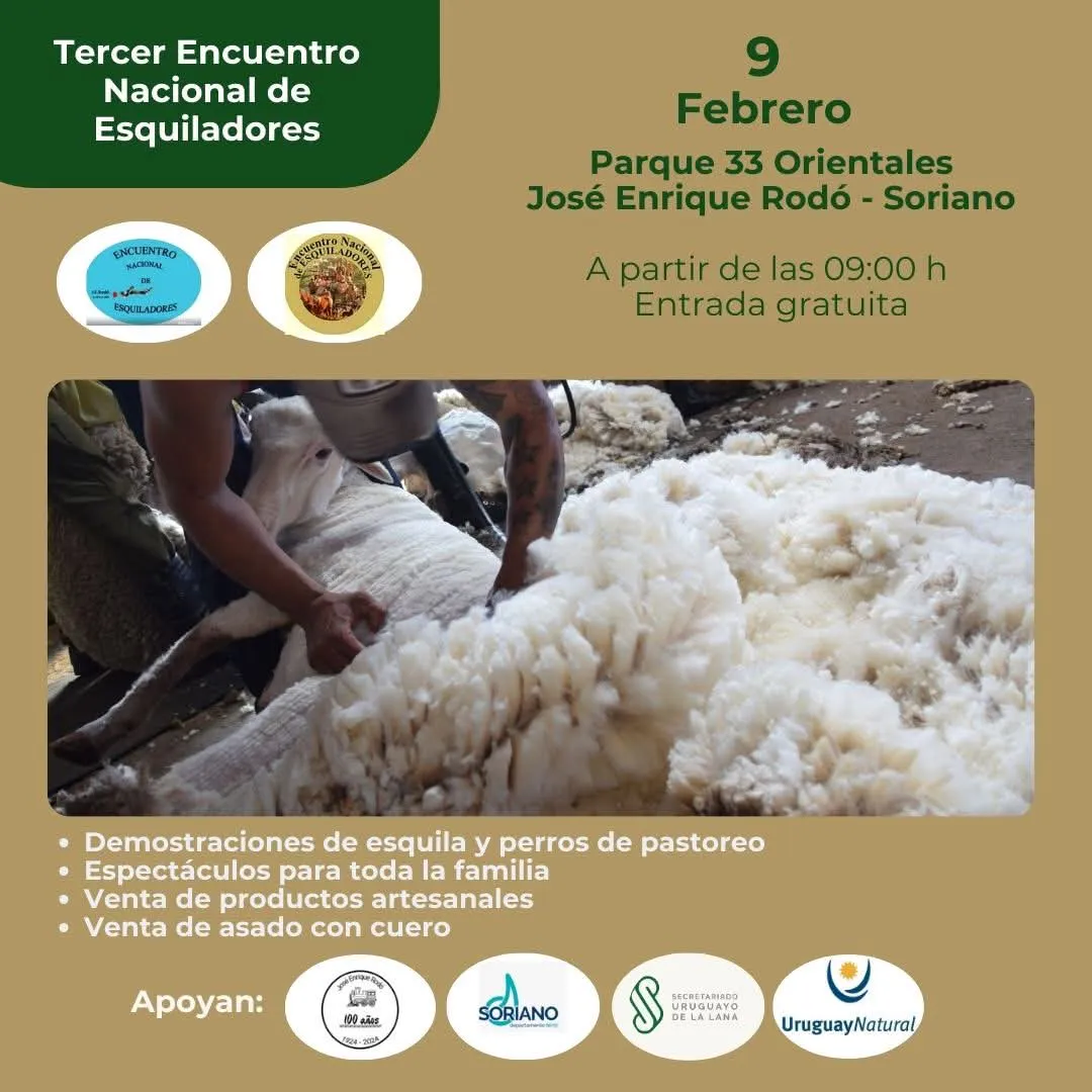 FB_IMG_1738257590228