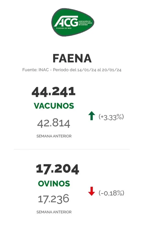 WhatsApp Image 2024-01-23 at 10.56.14