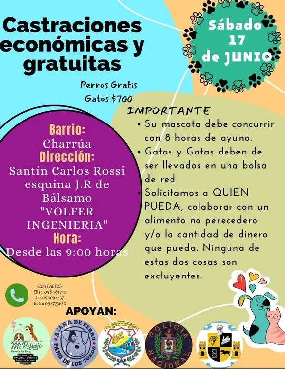 WhatsApp Image 2023-06-13 at 11.39.17