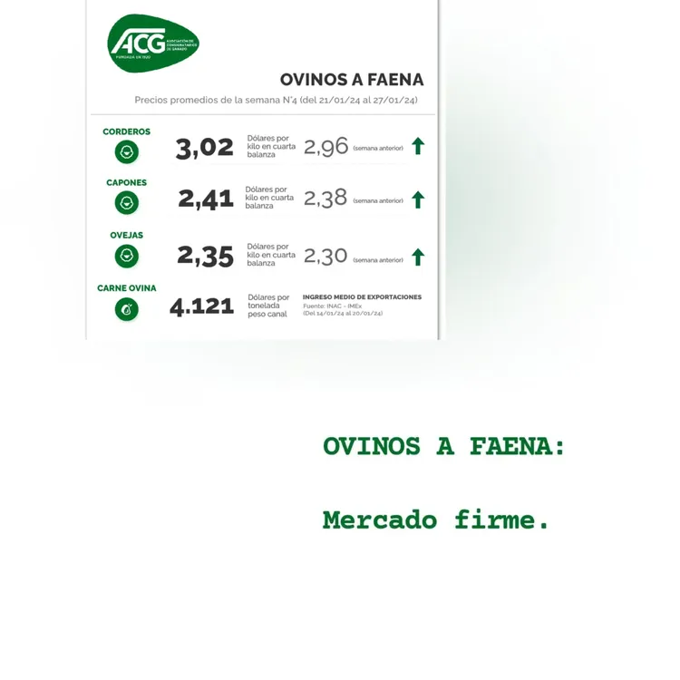 WhatsApp Image 2024-01-30 at 09.03.38