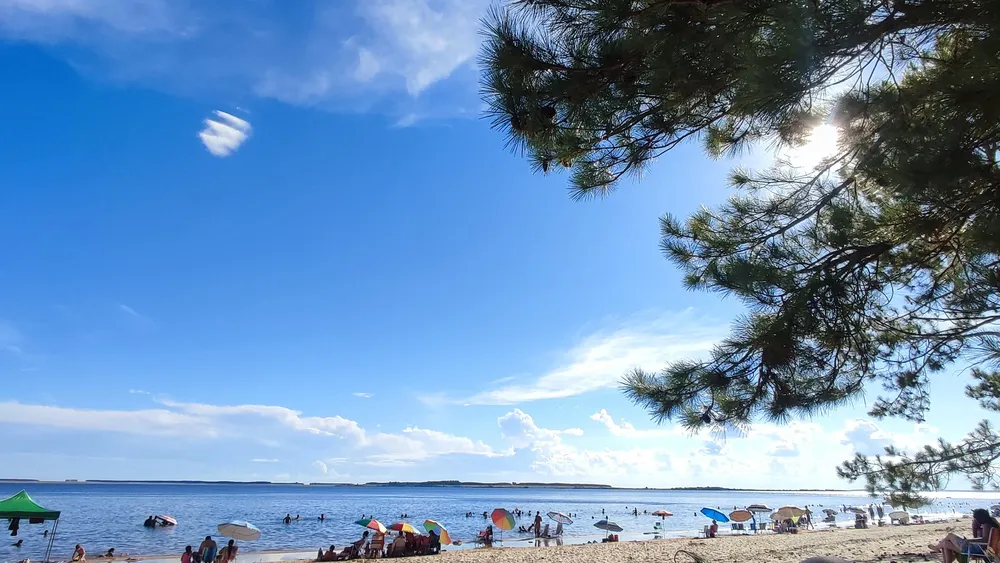 WhatsApp Image 2024-01-08 at 15.10.16