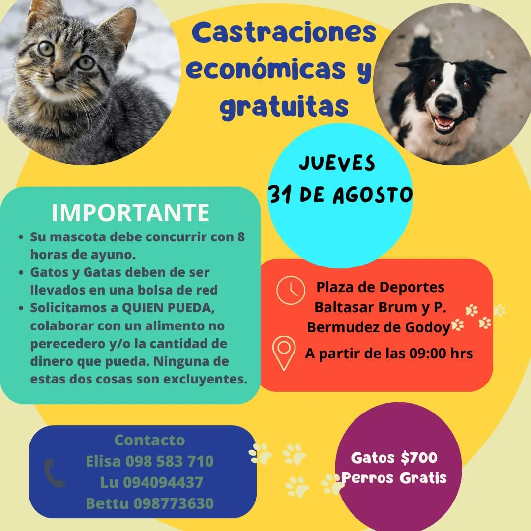 371839857_994824648492382_5303208614540450961_n