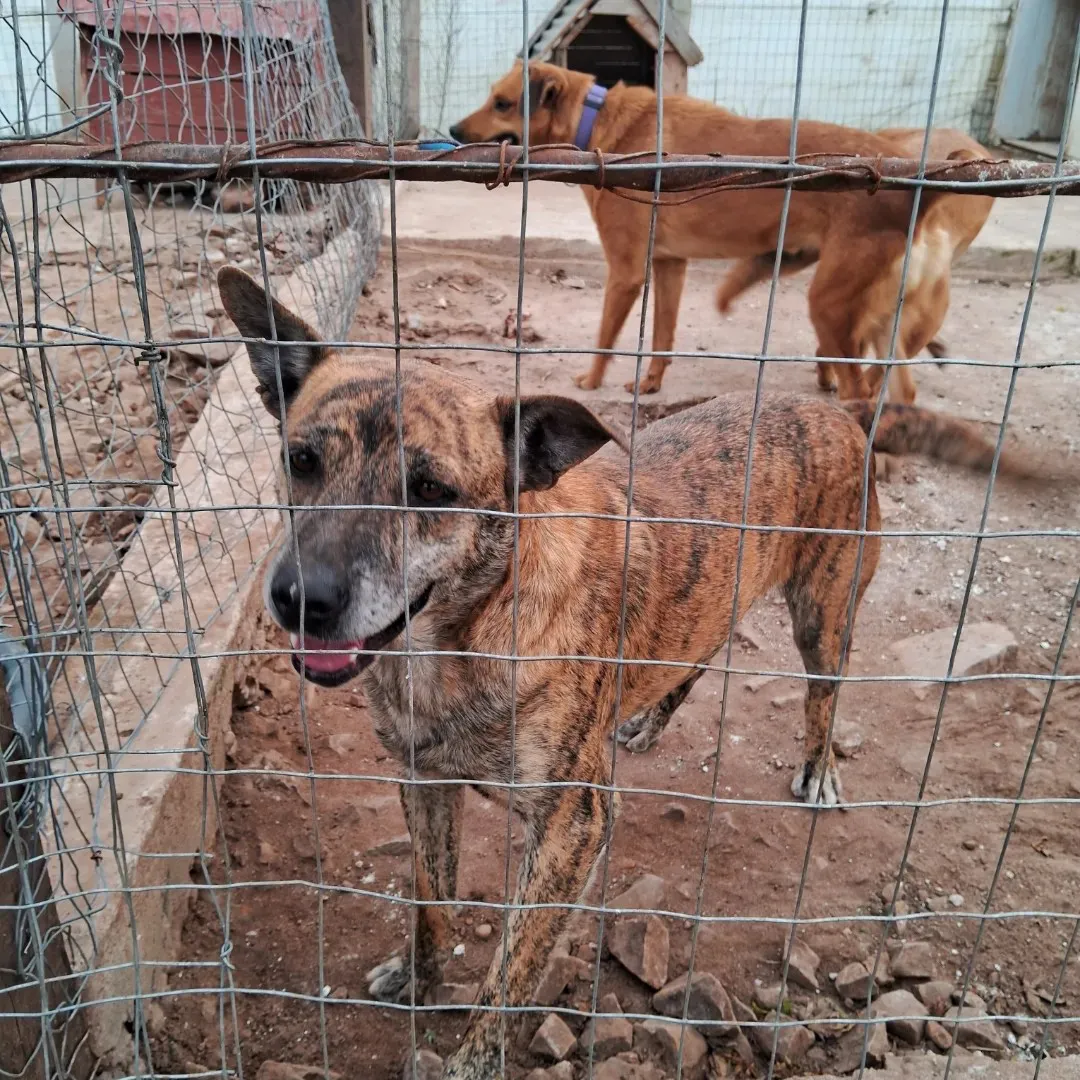 448318017_493861522992945_4660092105781915577_n